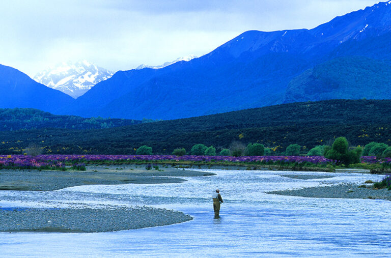 Man fly fishing in New Zealand river with beautiful snow capped mountains in background.
