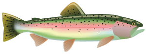 Idaho fly fishing report animated fish image.